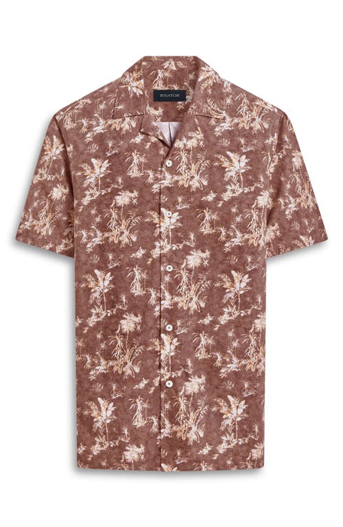 Bugatchi Jackson Shaped Fit Palm Tree Print Button-up Camp Shirt In Brown