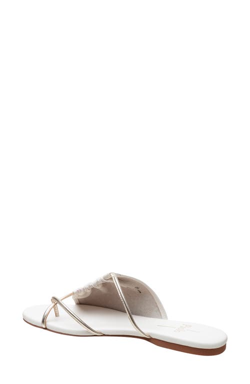 Linea Paolo Lane Toe Loop Sandal