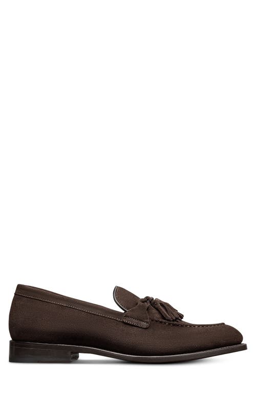 Allen Edmonds Sidney Tassel Loafer In Brown