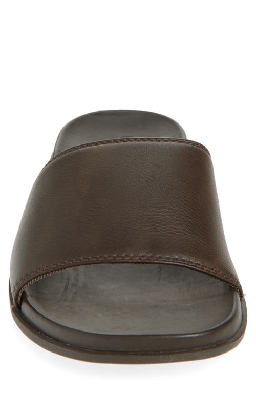 Olukai Olali Slide Sandal In Brown