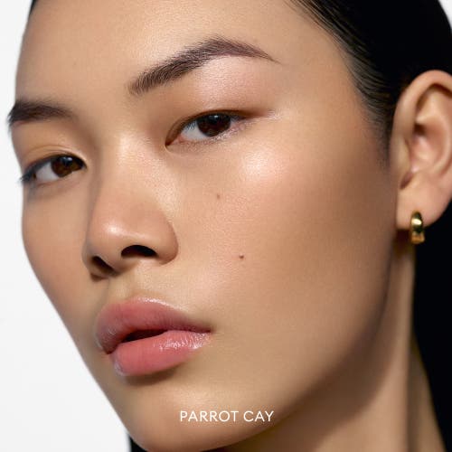 Rose Inc Solar Infusion Soft-focus Cream Bronzer