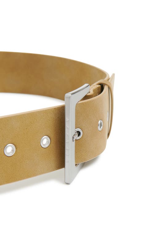 Apparis Blaze Faux Suede Belt In Sepia