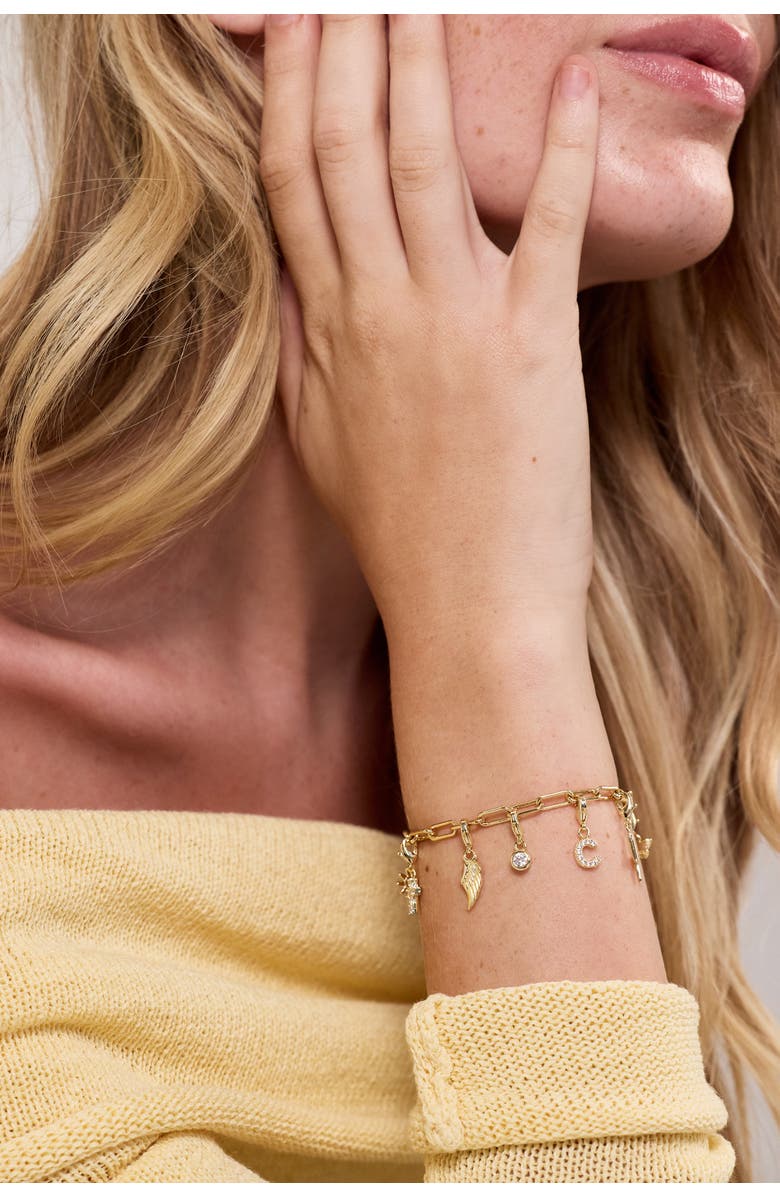 Electric Picks Airplane Charm, Alternate, color, 