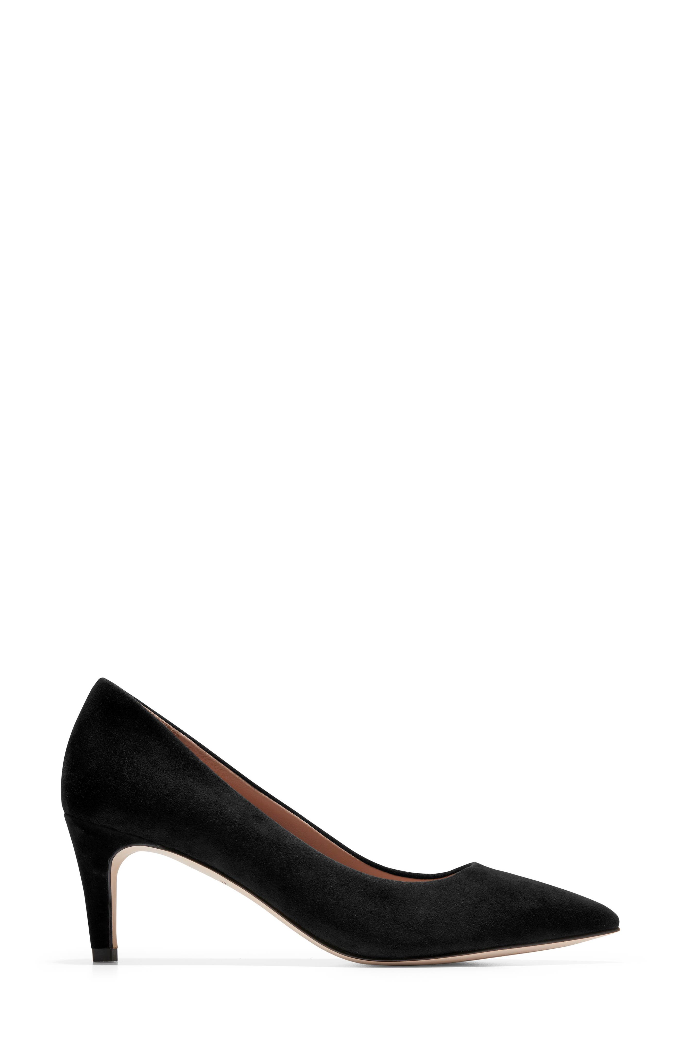 Cole Haan Vandam Pointed Toe Pump, Alternate, color, 