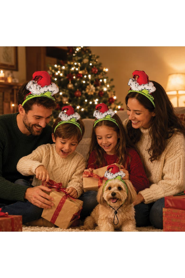 The Grinch Headband Official License 5-Piece Set, Alternate, color, Green