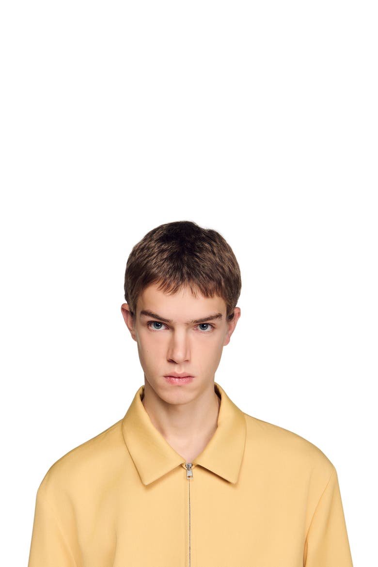 Zip-up jacket, Alternate, color, Light yellow