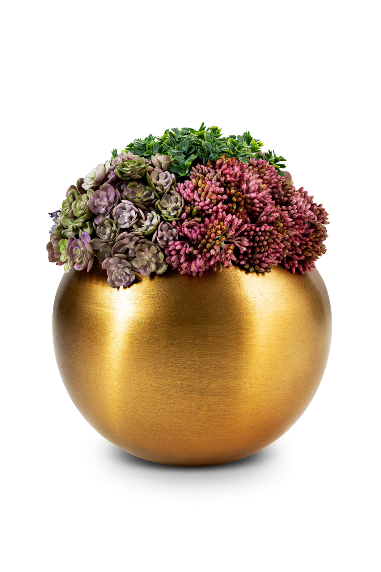 Valencia Gold Sedum, Main, color, Gold