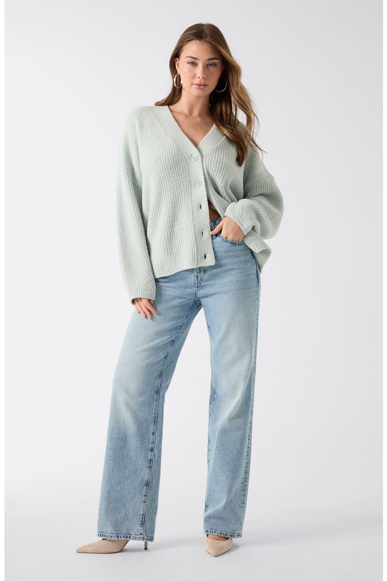 Lana Oversize Rib Cardigan, Alternate, color, LIGHT BLUE