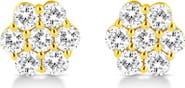 Haus of Brilliance 14K Yellow Gold 1/2 Cttw Brilliant Round Cut Diamond Floral Cluster Stud Earrings with Pushbacks