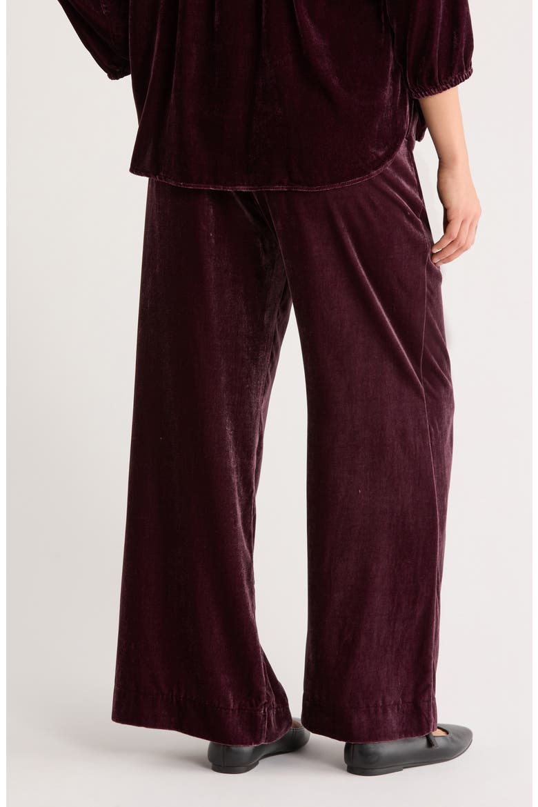 Bella Velvet Drawstring Pants, Alternate, color, FIG