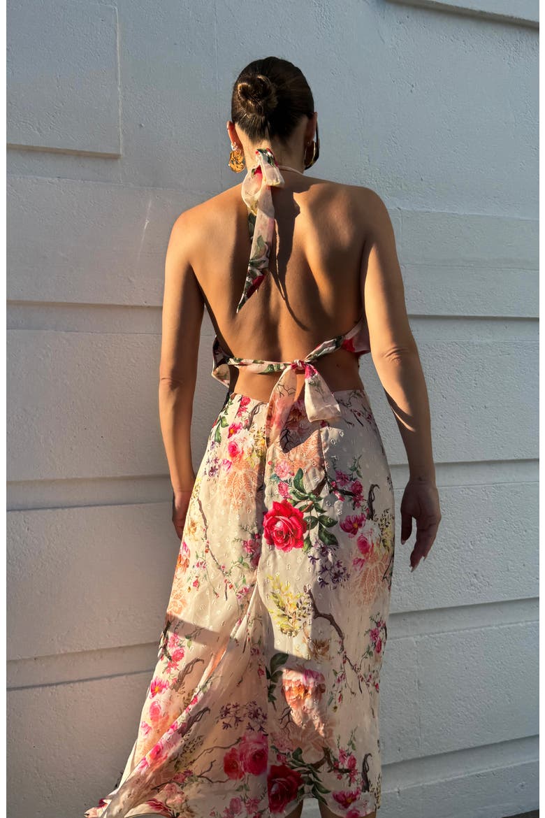 Dudley Floral Halter Clip Dot Chiffon Top, Alternate, color, SAND SUMMER ROSE
