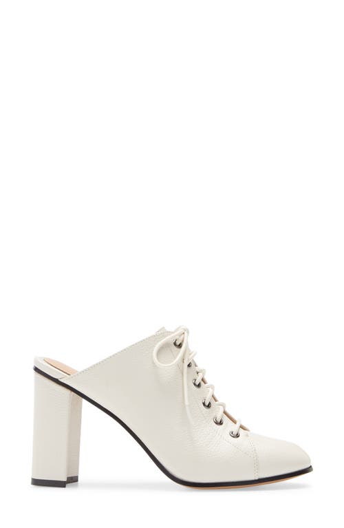 Linea Paolo Sylvie Lace-up Mule In Neutral