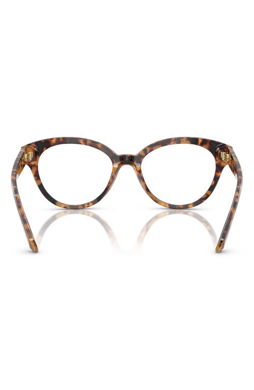 Swarovski 54mm Round Optical Glasses In Lite Havana