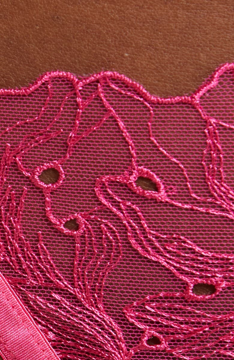 Bluebella Astra Embroidered Mesh Thong, Alternate, color, Fuchsia Pink