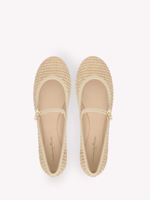 Shop Gianvito Rossi Carla Ballerina In Beige Textile