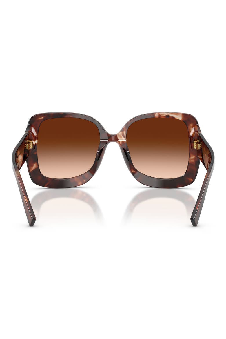 55mm Gradient Square Sunglasses, Alternate, color, DARK RED HAVANA / BROWN