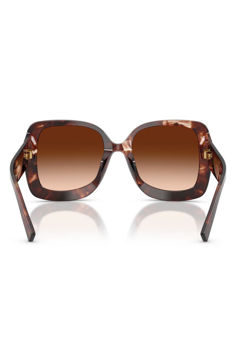 Dolce&Gabbana 55mm Gradient Square Sunglasses, Alternate, color, Dark Red Havana / Brown