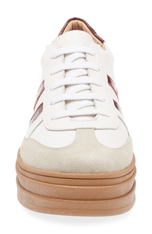 Chocolat Blu Valox Sneaker In Multi