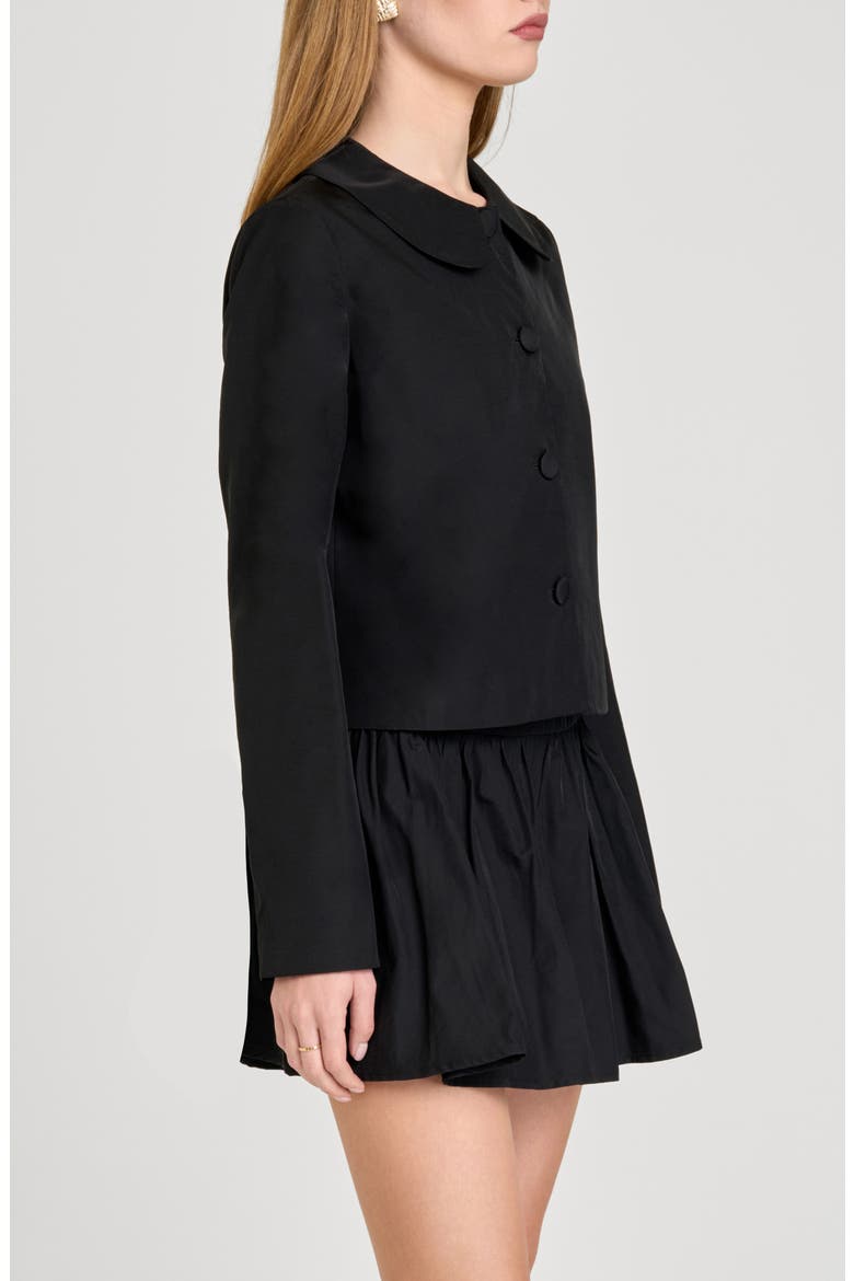 Elena Button Front Jacket, Alternate, color, BLACK
