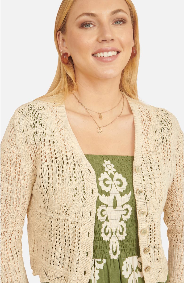 Yumi Crochet Knitted Cropped Cardigan, Alternate, color, Beige