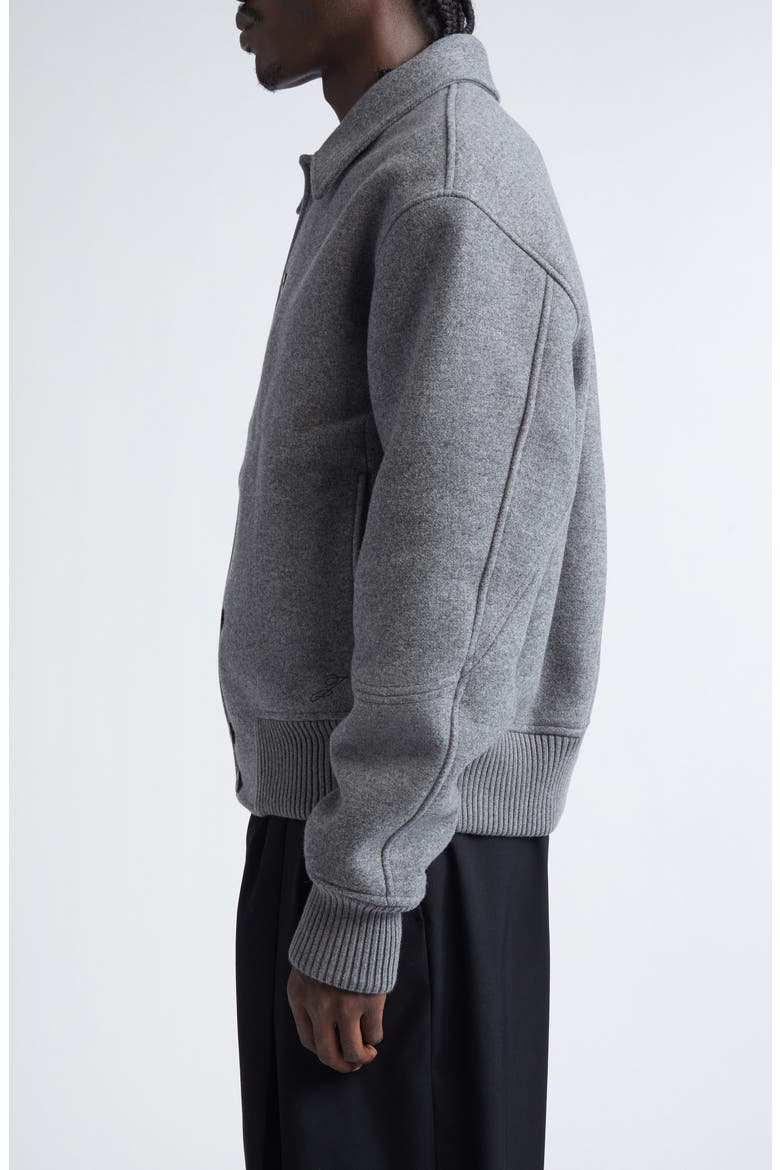 Le Feltro Bomber Jacket, Alternate, color, GREY
