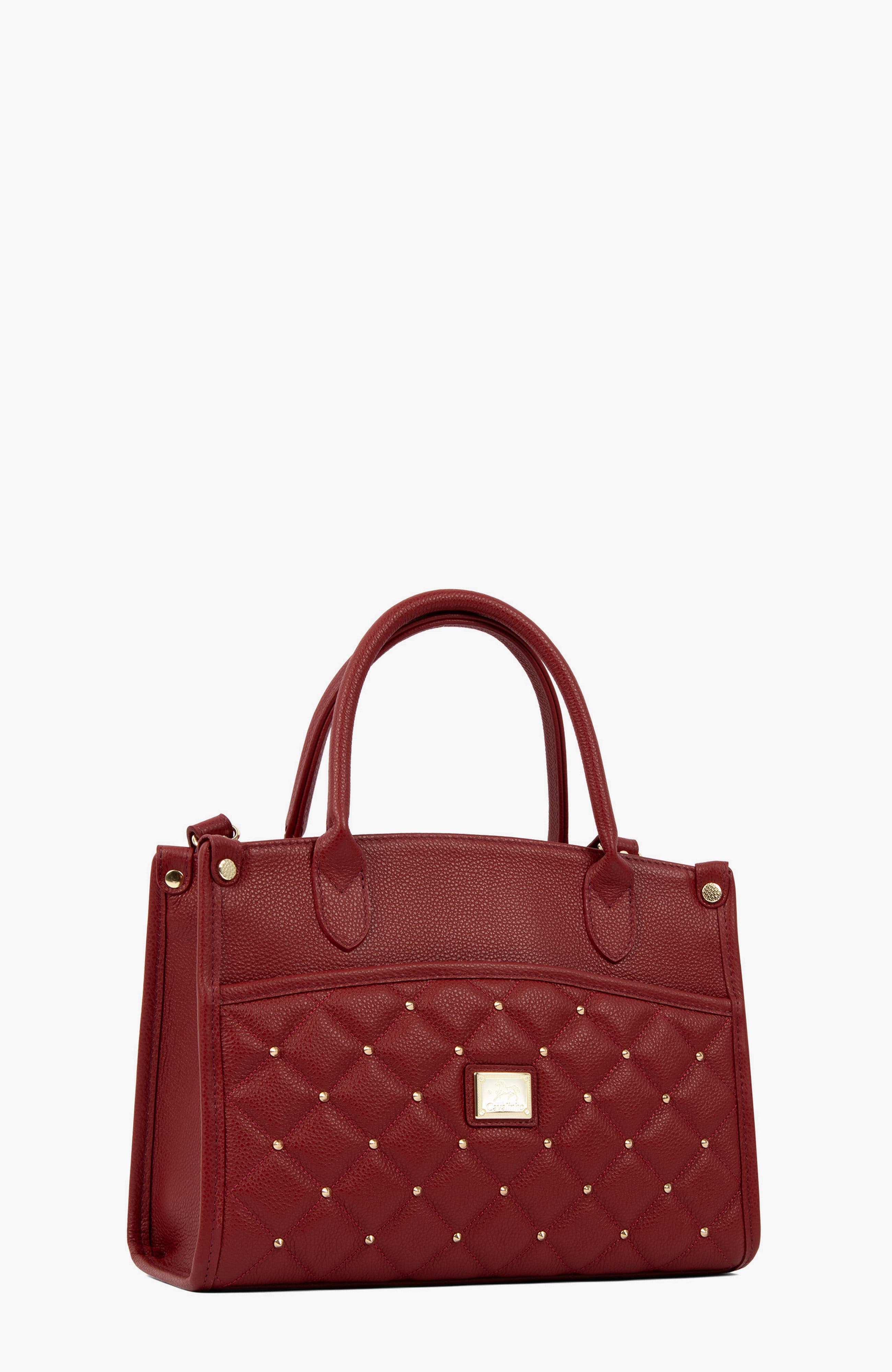 Eternal 567 Leather Handbag, Alternate, color, Burgundy