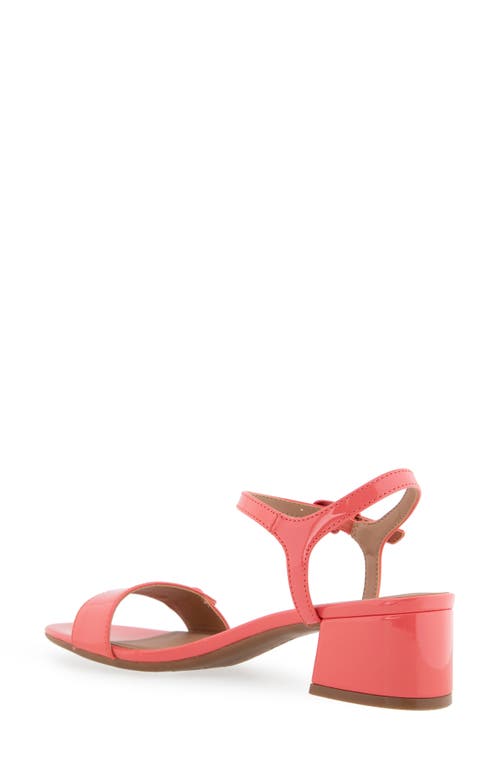 AEROSOLES AEROSOLES CAIRO BLOCK HEEL SANDAL 
