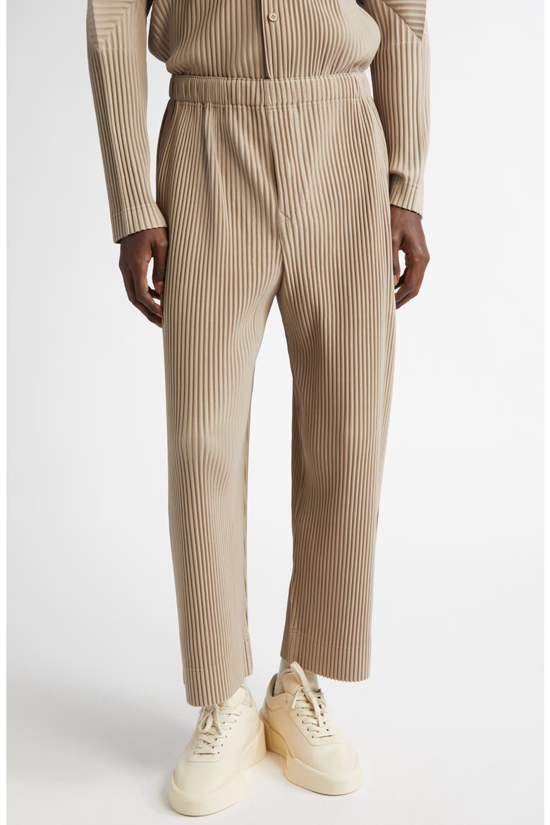 Monthly Colors September Pleated Crop Wide Leg Pants, Main, color, GRAIN BEIGE