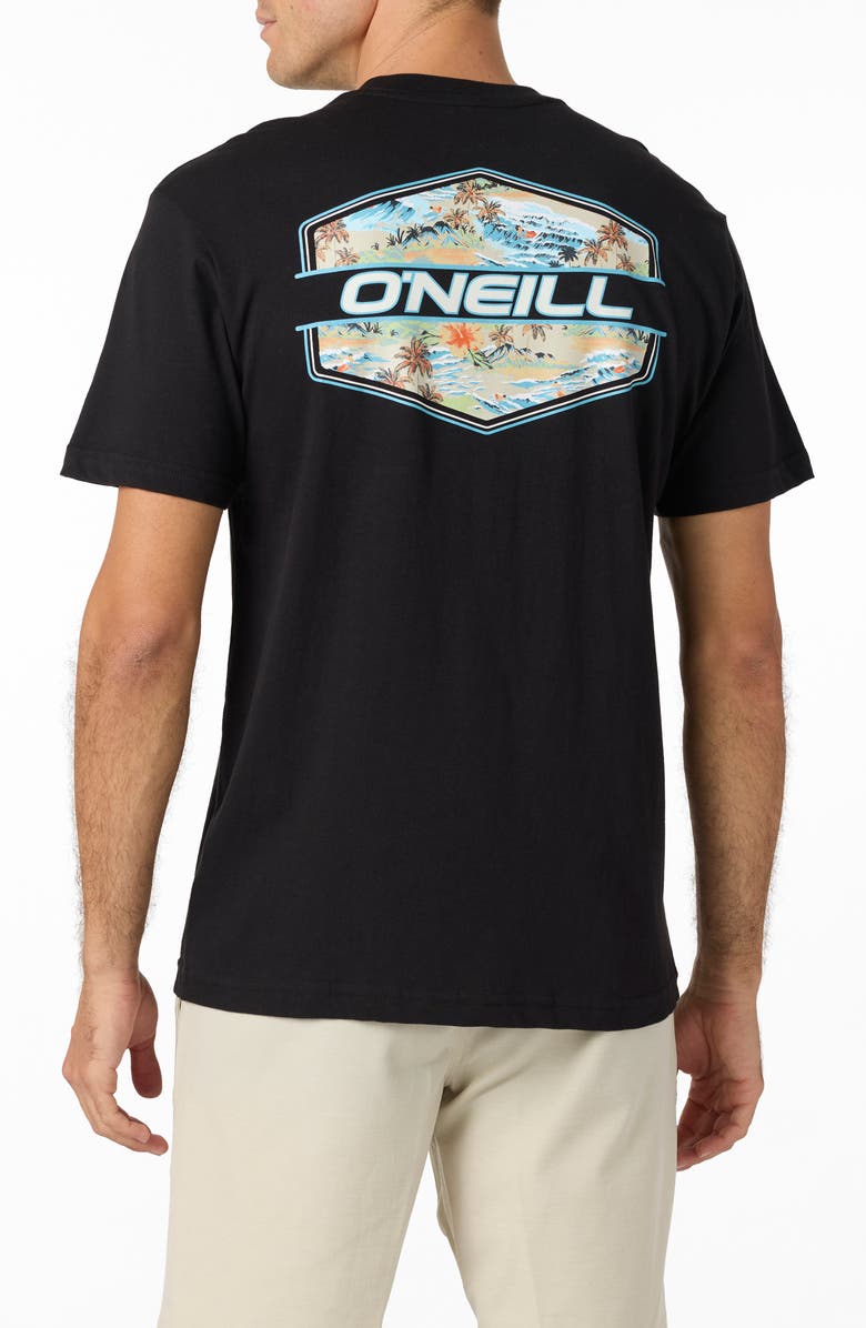 O'Neill Blended Graphic T-Shirt, Alternate, color, 