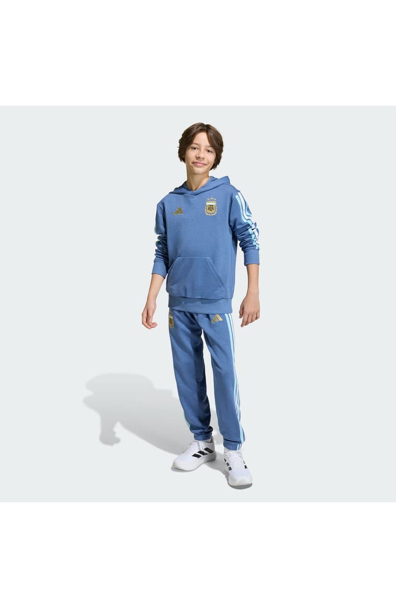 adidas Youth adidas Blue Argentina National Team FIFA x World Cup Alphaskin Hoodie, Alternate, color, Blue