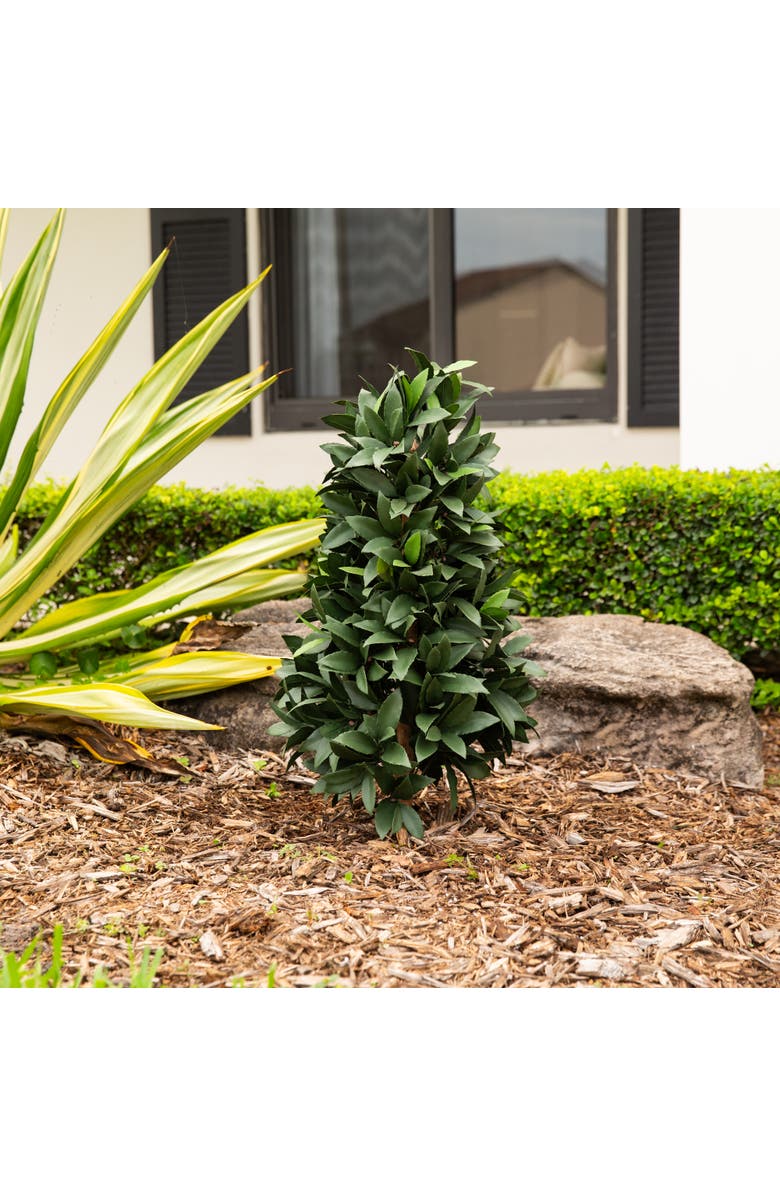 NEARLY NATURAL 3-ft UV Resistant Artificial Laurel Plant with Integrated Ground Stake, Alternate, color, Green