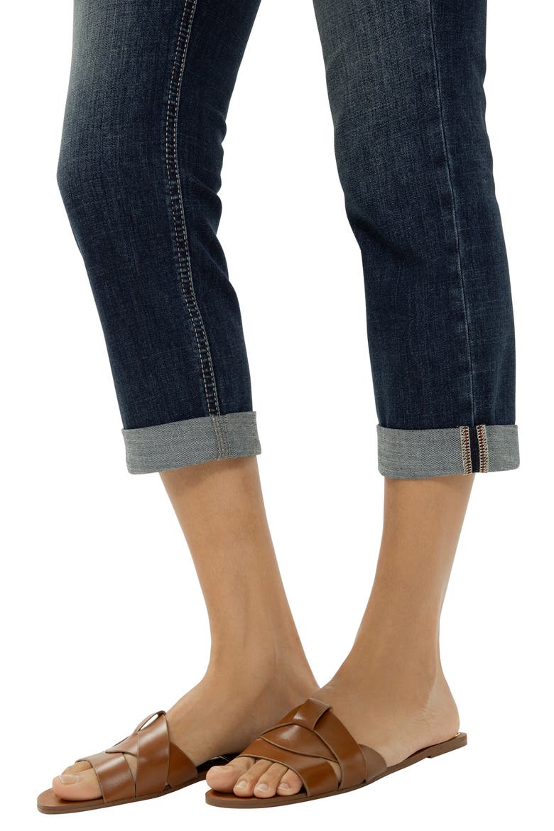 Suki Americana Curvy Mid Rise Capri Jeans, Alternate, color, DREAMSCAPE