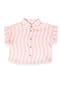  Pink Stripe