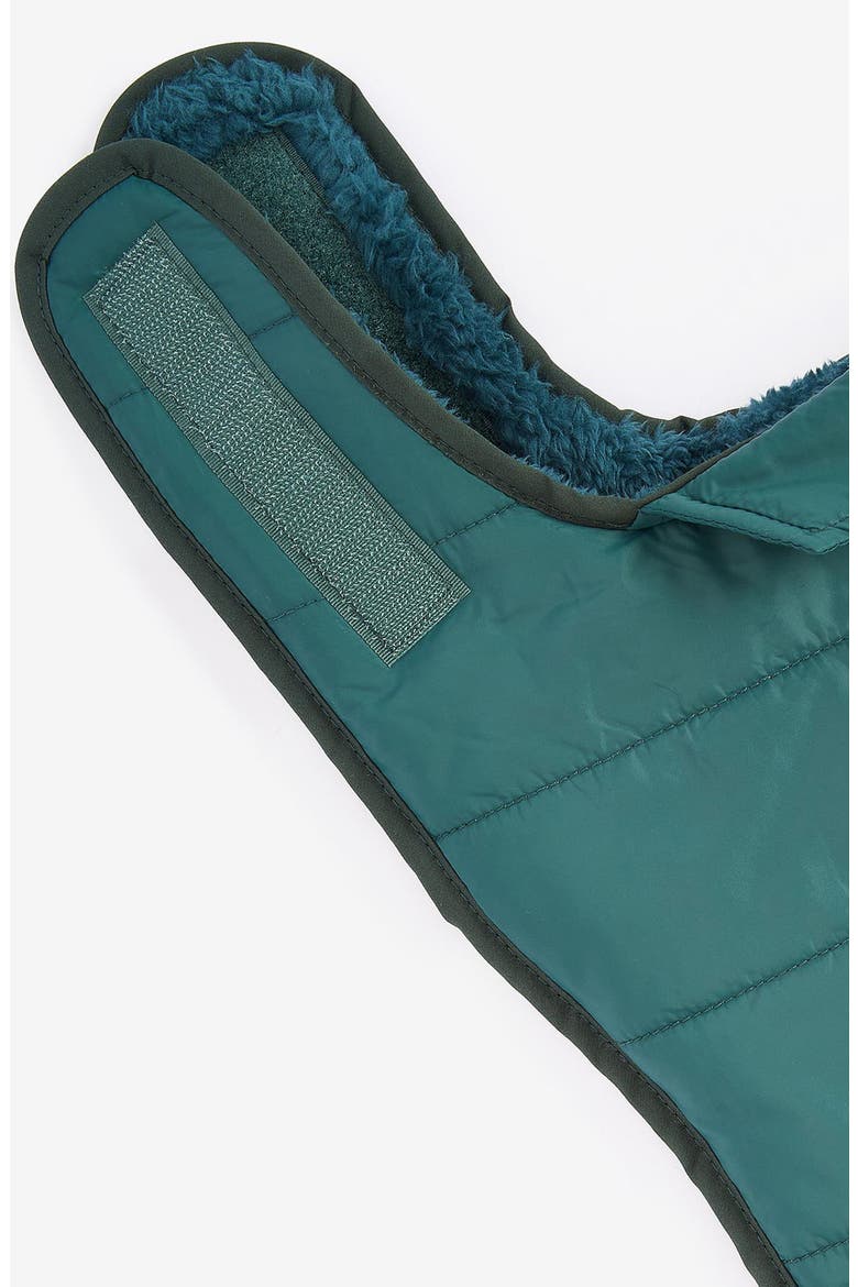 Baffle Quilted Dog Coat, Alternate, color, EVERGREEN