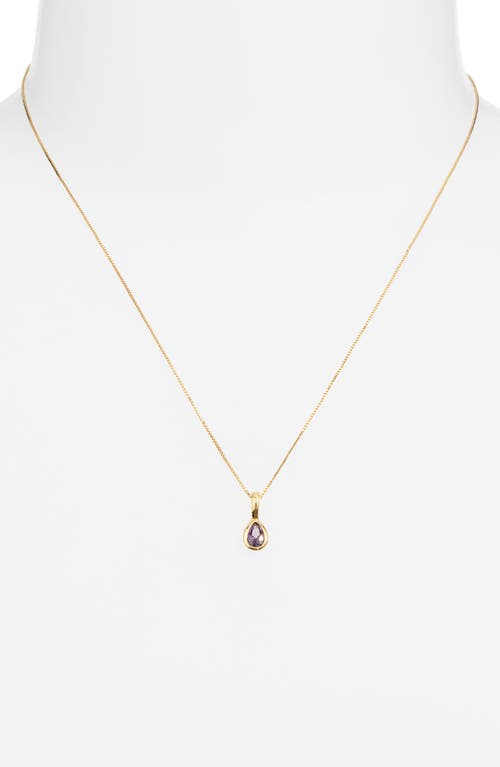 Set & Stones Teardrop Birthstone Pendant Necklace In Gold/february