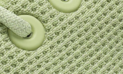 ALLBIRDS ALLBIRDS TREE RUNNER SNEAKER