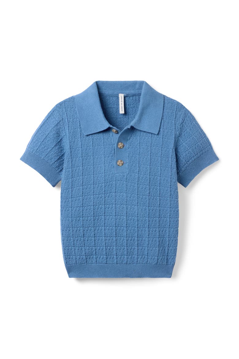 Textured Knit Polo, Main, color, Blue