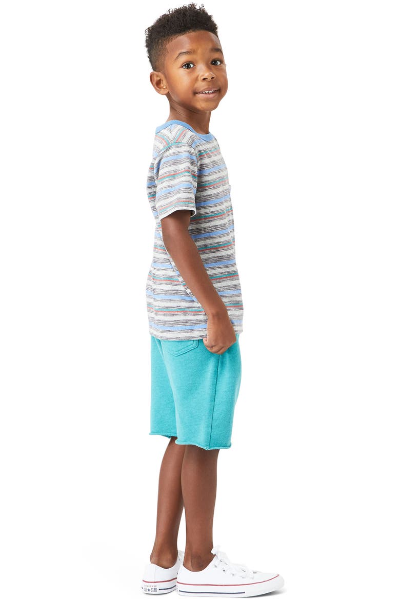 Liam Stripe Pocket T-Shirt, Alternate, color, STRIPE