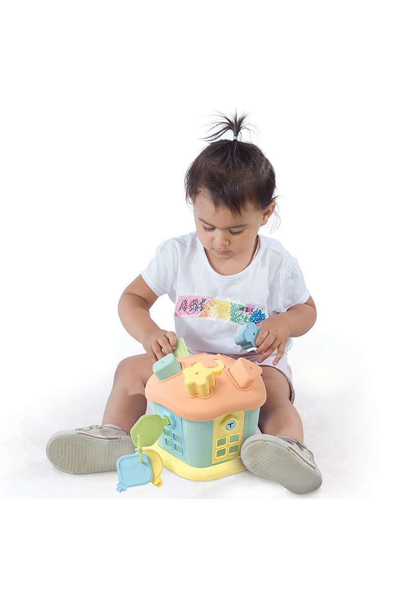 Dolu Shape Sorter, Happy House, 9 Piece Sort & Play Toy, Toddlers & Kids 12mo+, Alternate, color, Multicolored