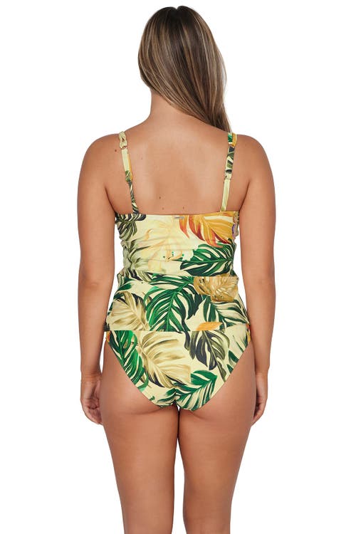 Sunsets Taylor Tankini In Amber Oasis