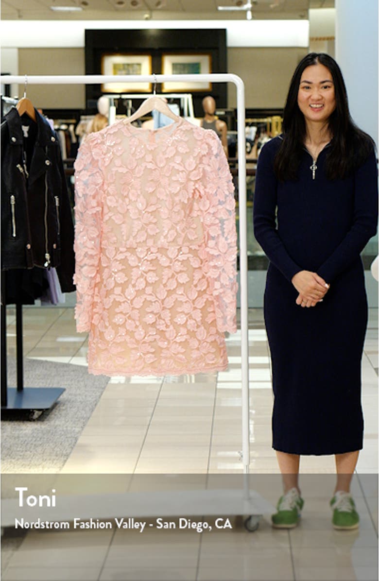 Christy Appliqué Long Sleeve Minidress, sales video thumbnail