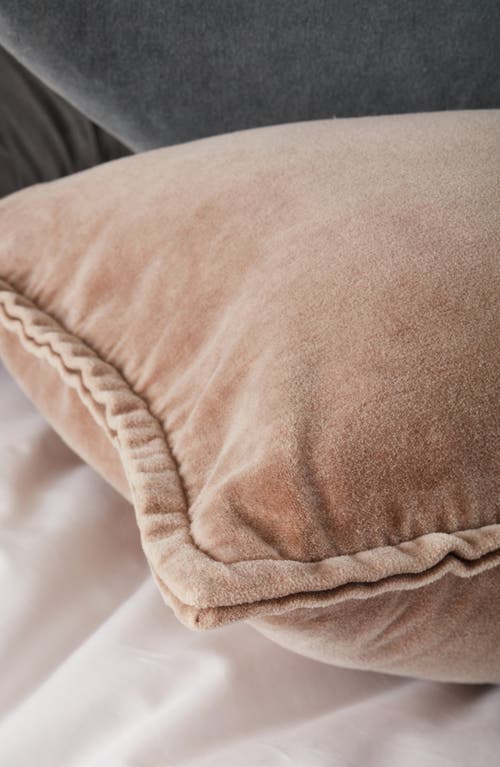 Nordstrom Velveteen Bolster Pillow In Neutral