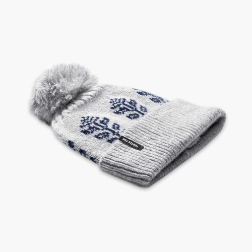 Turtle Fur Freya Pom Beanie In Gray