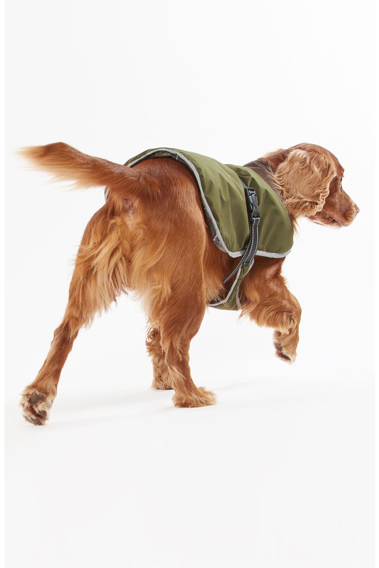 Monmouth Waterproof Dog Coat, Alternate, color, OLIVE