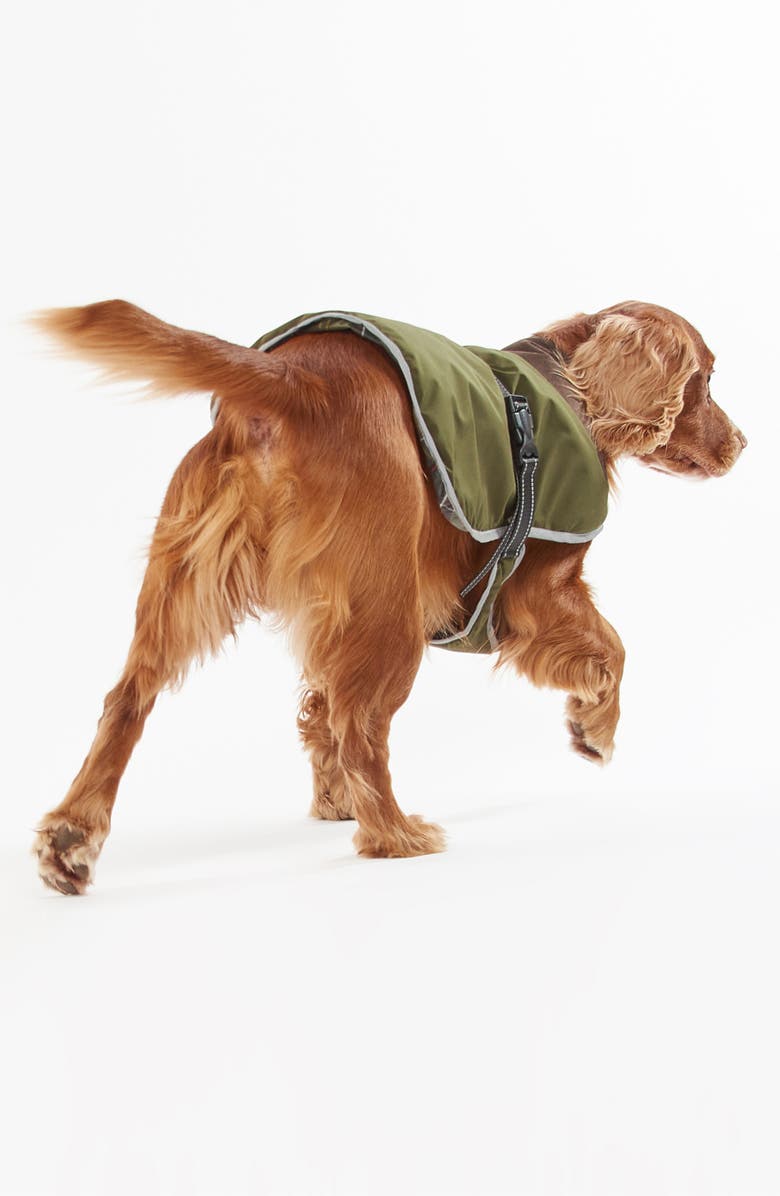 Barbour Monmouth Waterproof Dog Coat, Alternate, color, 