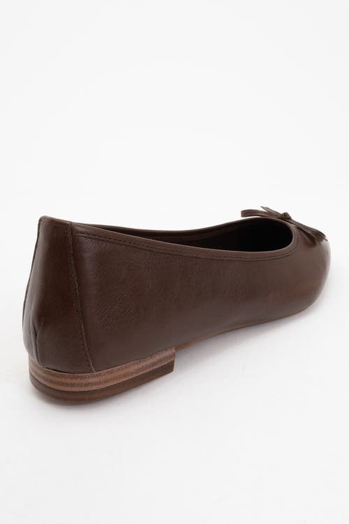 Forever & Always Shoes Ruby Leather Pointed Toe Flats In Brown Leather