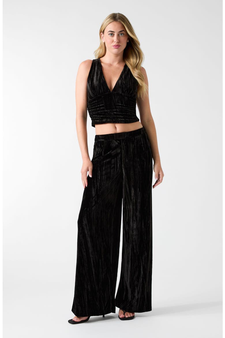 Arlowe Crushed Velvet Wide Leg Pants, Alternate, color, JET BLACK