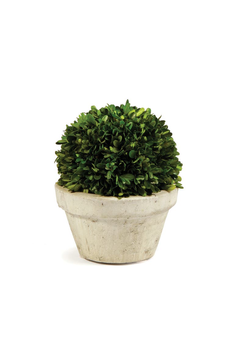 Boxwood Ball In Pot Large, Main, color, Brown