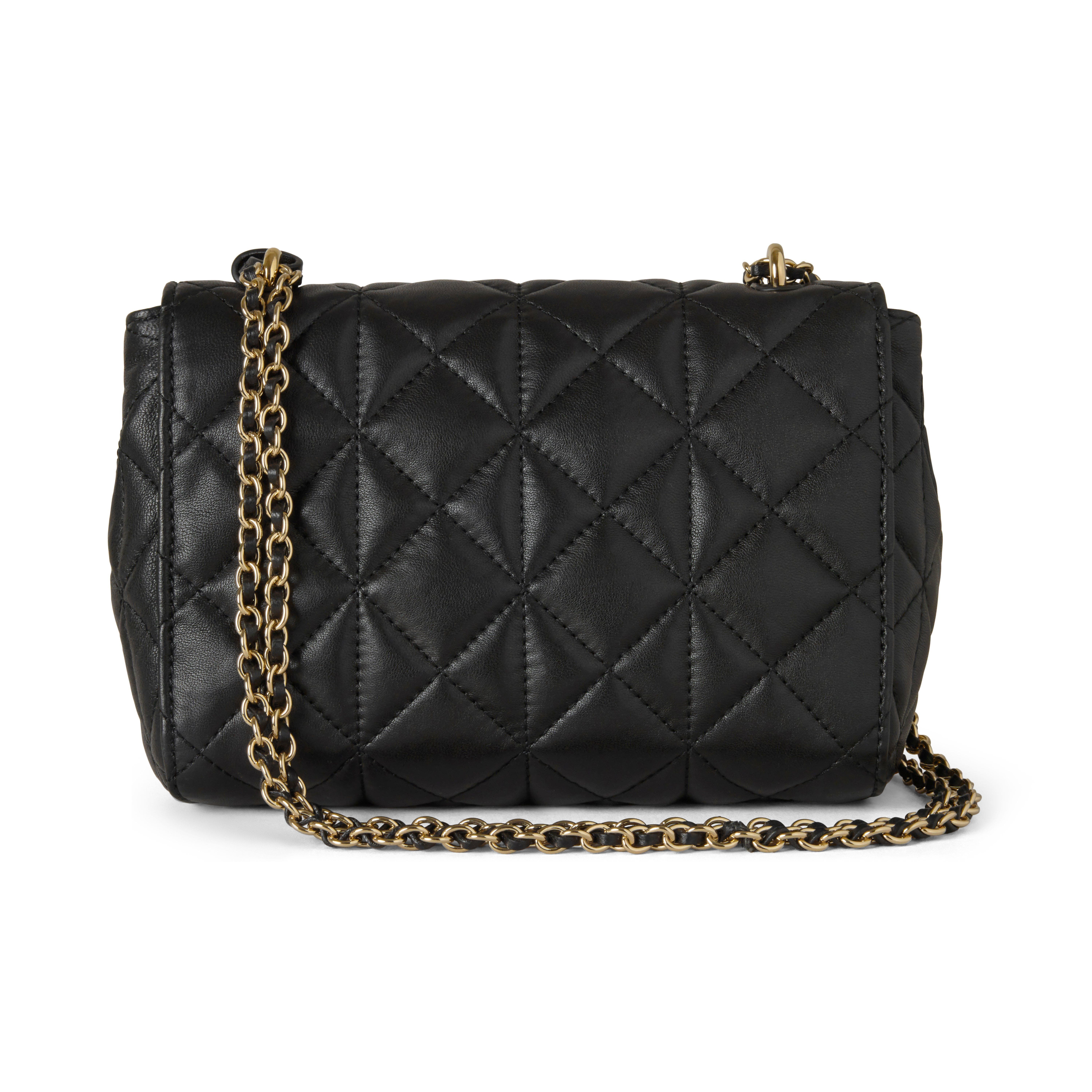 Mulberry Lily, Alternate, color, 