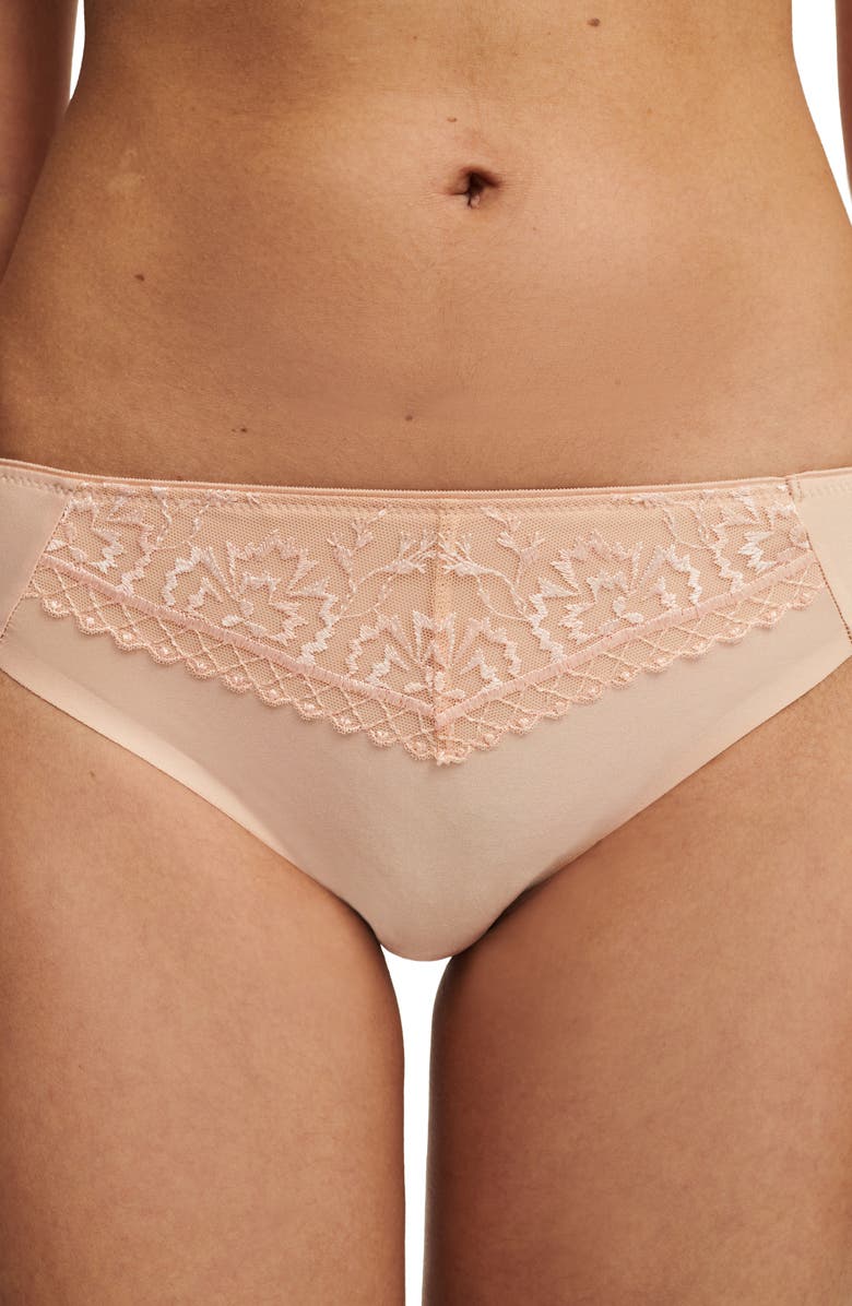 Chantelle Lingerie Every Curve Bikini, Alternate, color, Beige Blush